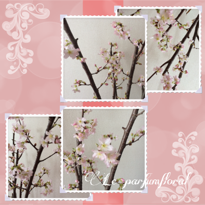 PicsArt桜